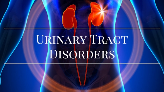 Urinary Disorder UTI అతిమూత్రవ్యాధి