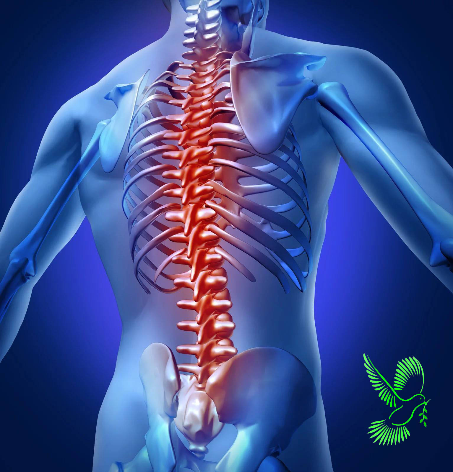 Spondylitis Treatment వెన్నునొప్పి ఆయుర్వేదం