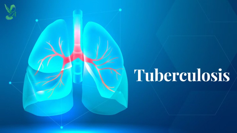 Tuberculosis (TB) క్షయ వ్యాధి